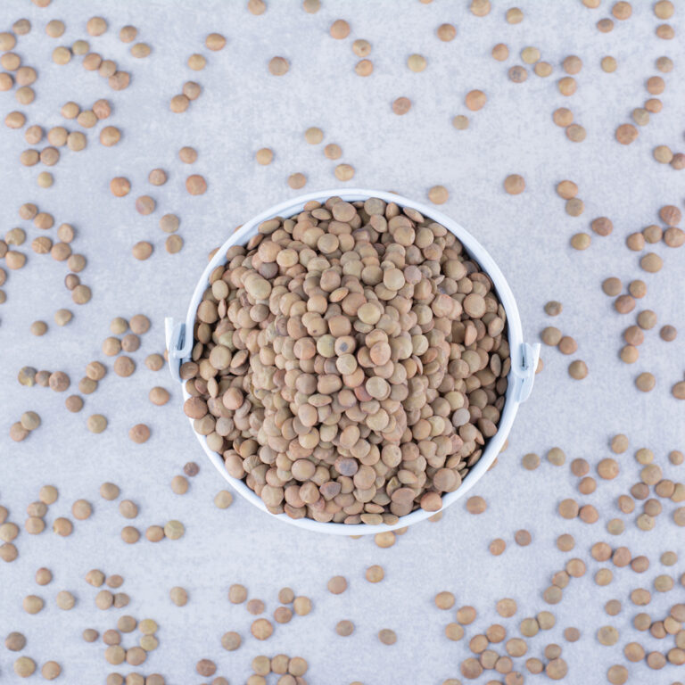 lenteja-pardina